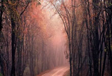 阿赫利多后防线漏洞频现，助攻需提升