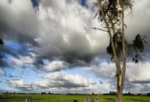 深圳队成功战胜四川男篮，全队表现出色