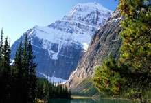 运动员们全力以赴展现超凡实力