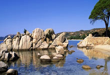 曼城横扫多特蒙德，晋级八强